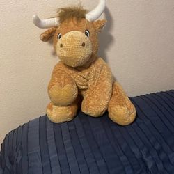 Texas Longhorns
