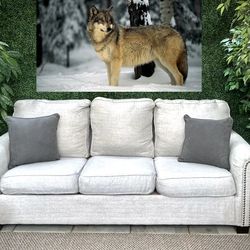 Free Delivery Light Gray Ashley Furniture Couch