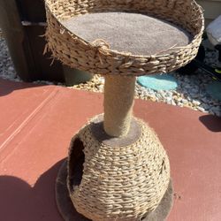 Cat Tower 