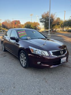 2010 Honda Accord
