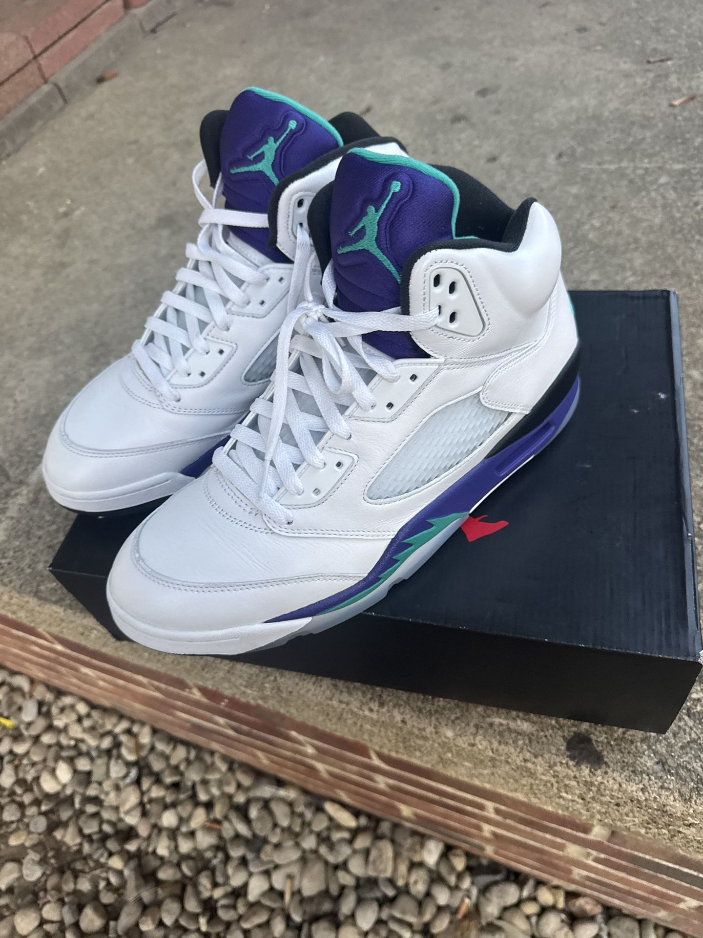 Jordan Grape 5’s