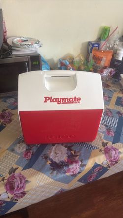 Playmate igloo cooler.