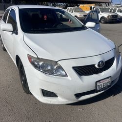 2009 Toyota Corolla