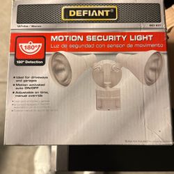 Motion Security light
