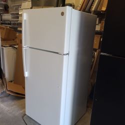 Fridge Less Than 1 Year Old