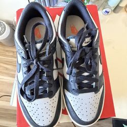 Nike Dunk Kids