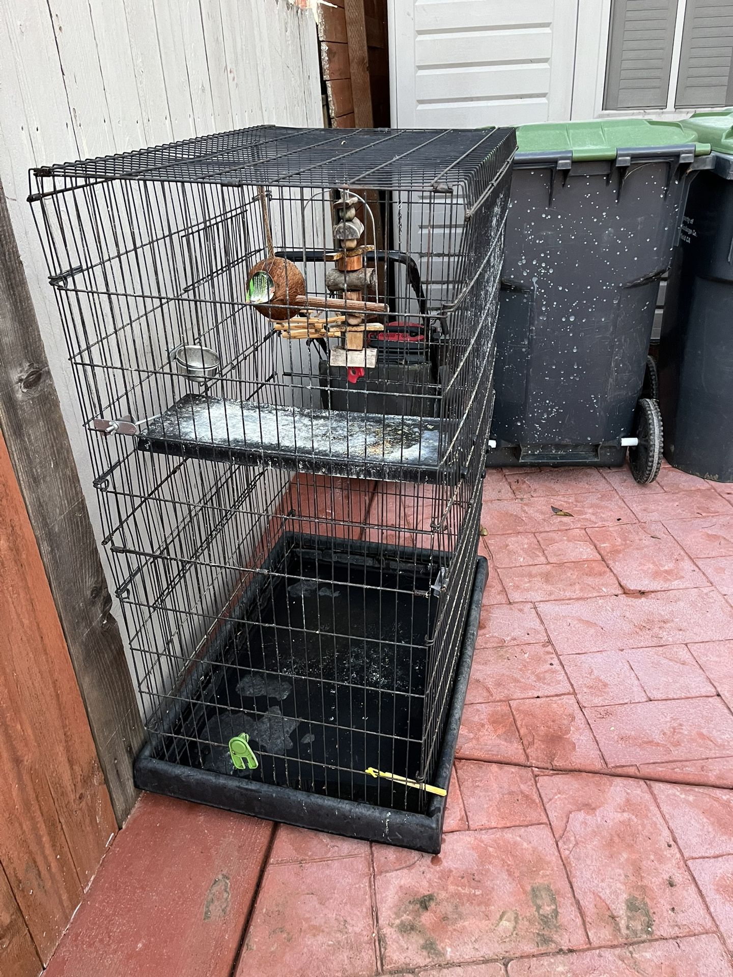 Bird Cage