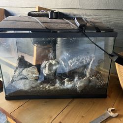 5 Gallon Aquarium With Everything 
