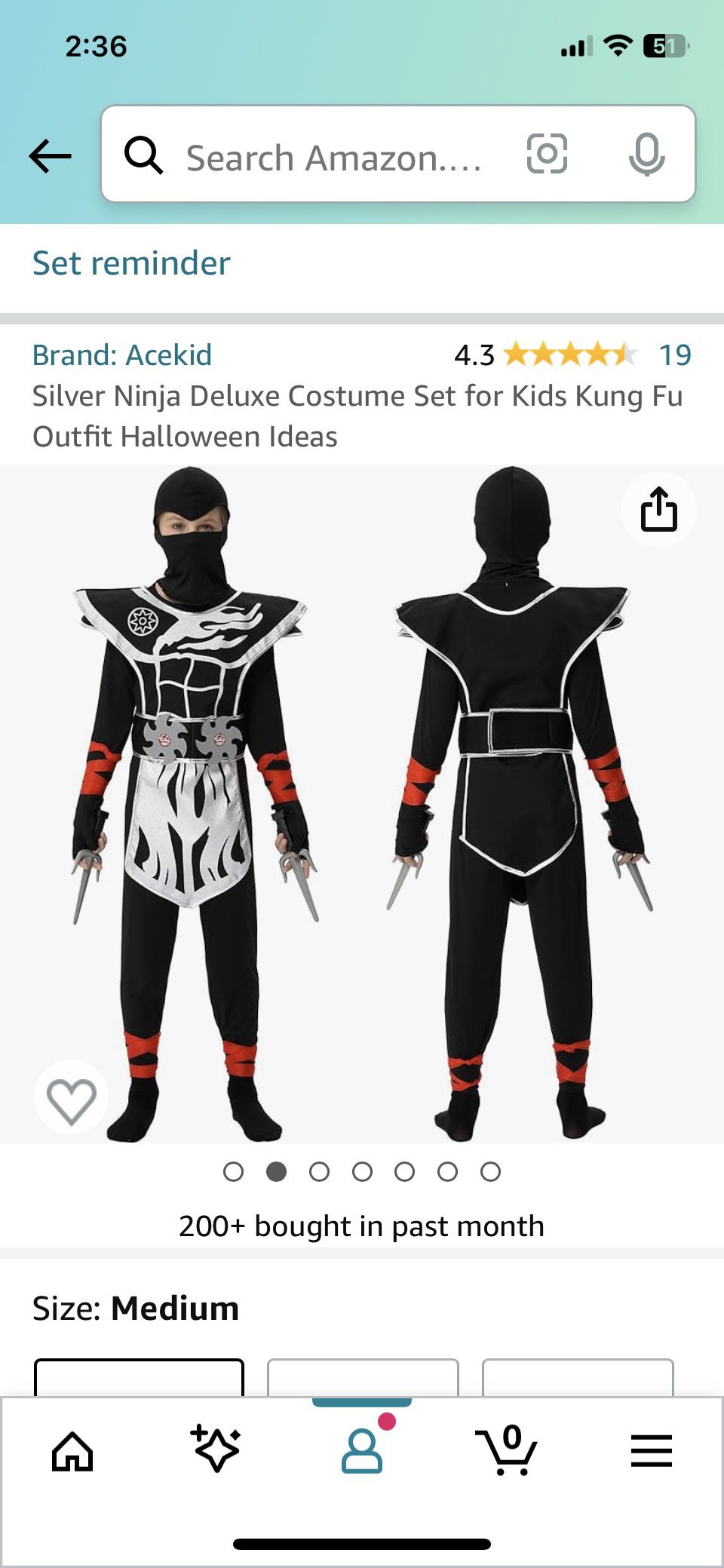 Ninja, Halloween Costume 