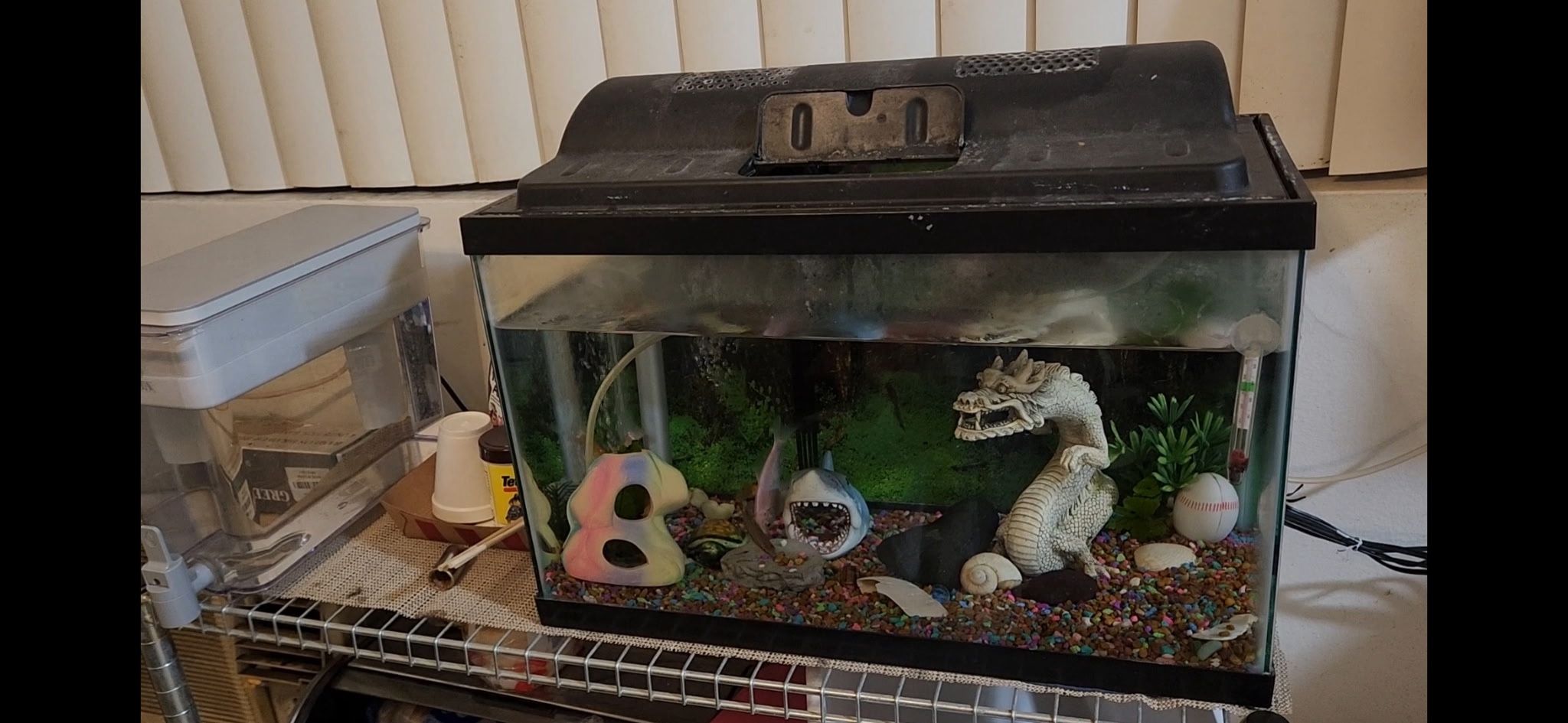 Fish Tank Lid Not Included