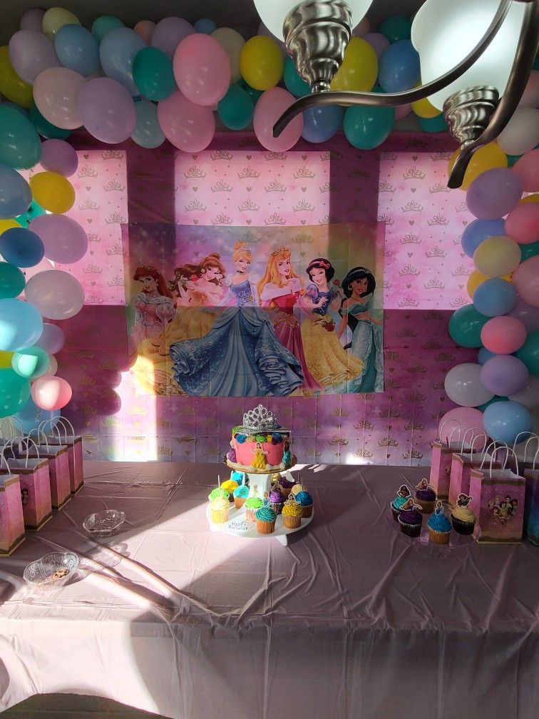 Disney Princess Birthday Supplies 