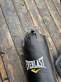 Everlast punching bag