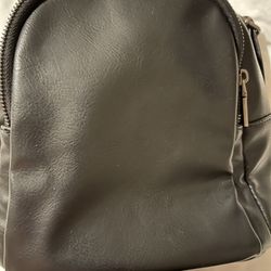 Backpack/purse