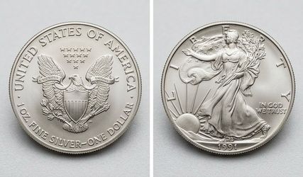 American Eagle 1991 Dollar