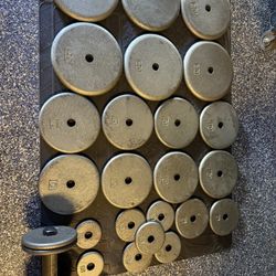 Weight Set With Barbell And Dumbbells