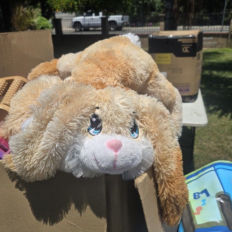 Stuffed Animals