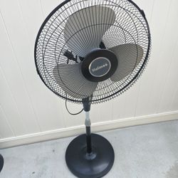 Fan