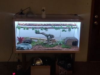 Selling Wooden Reptile Cage With Everything Inside Included!!!