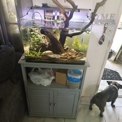 20 Gallon Fish Tank 