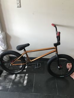 Austin augie signature bike top