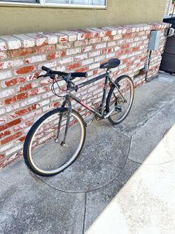 Free bike