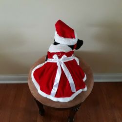 Christmas Doggie Dress