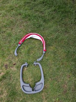 Radio Flyer 4-in-1 Stroll 'N Trike