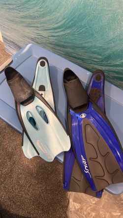 Flippers