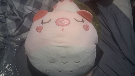 Plushy turtle and pig