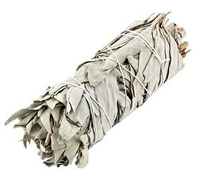 Sage