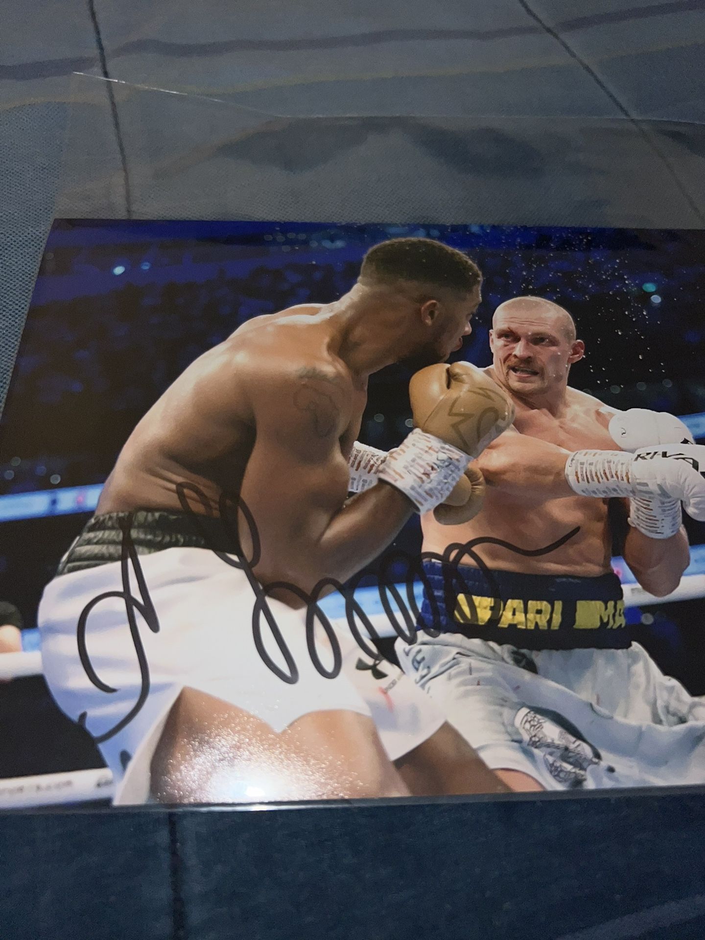 Oleksandr Usyk Pro Boxer