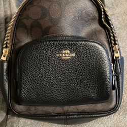 Court Backpack In Signature Canvas
