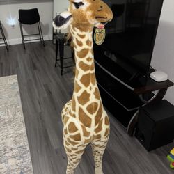 Giraffe