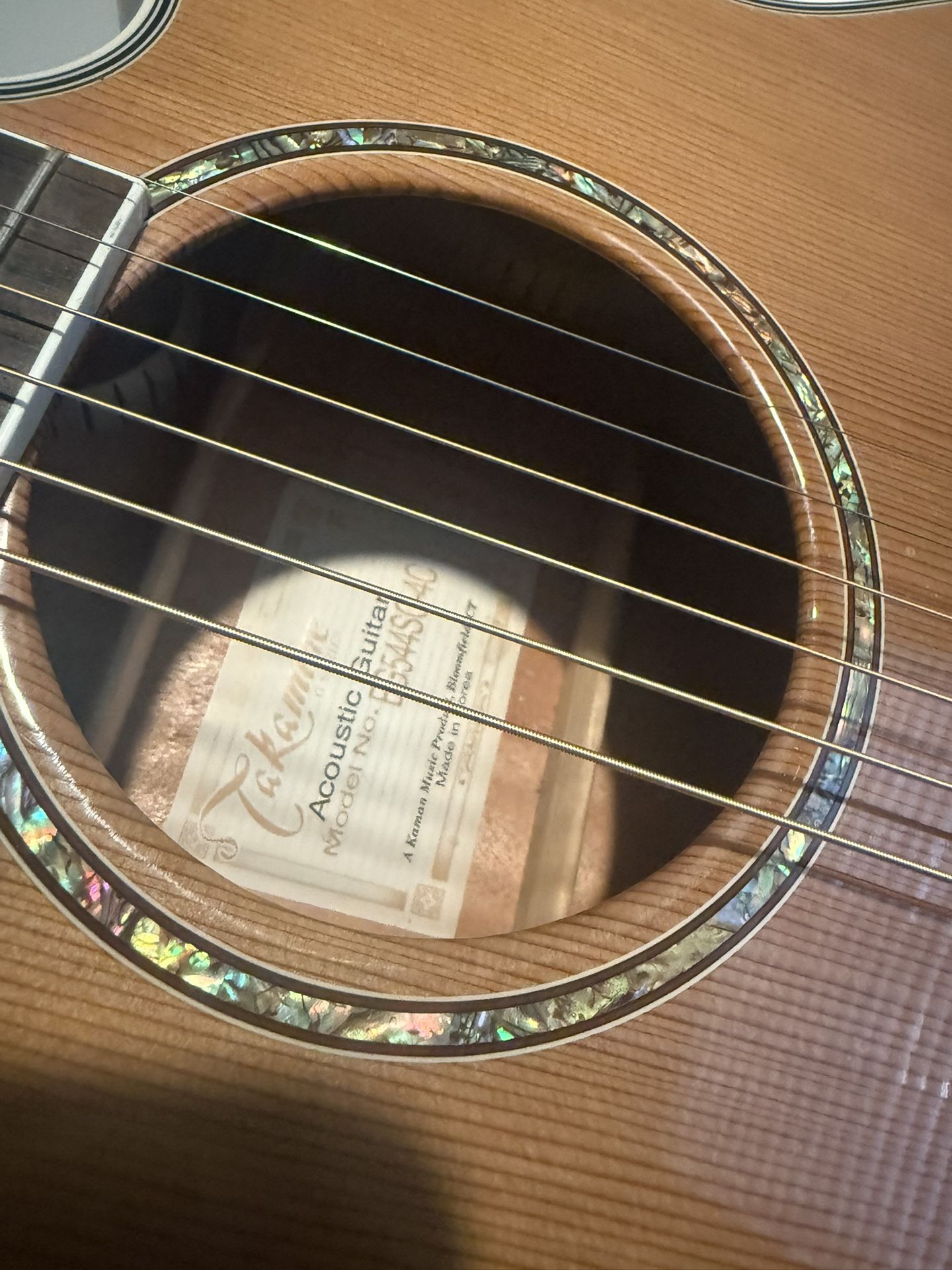 Takamine TK40 6 string