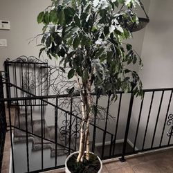Fake Plant Artificial Plant
