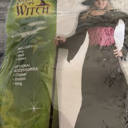 Pink Witch Costume
