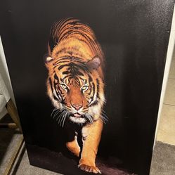 Big Tiger Frame
