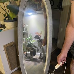 Mirror With Lighting 