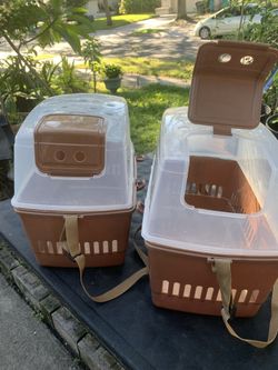 Case Birds  $20 Each 