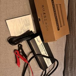 Battery Charger 20A