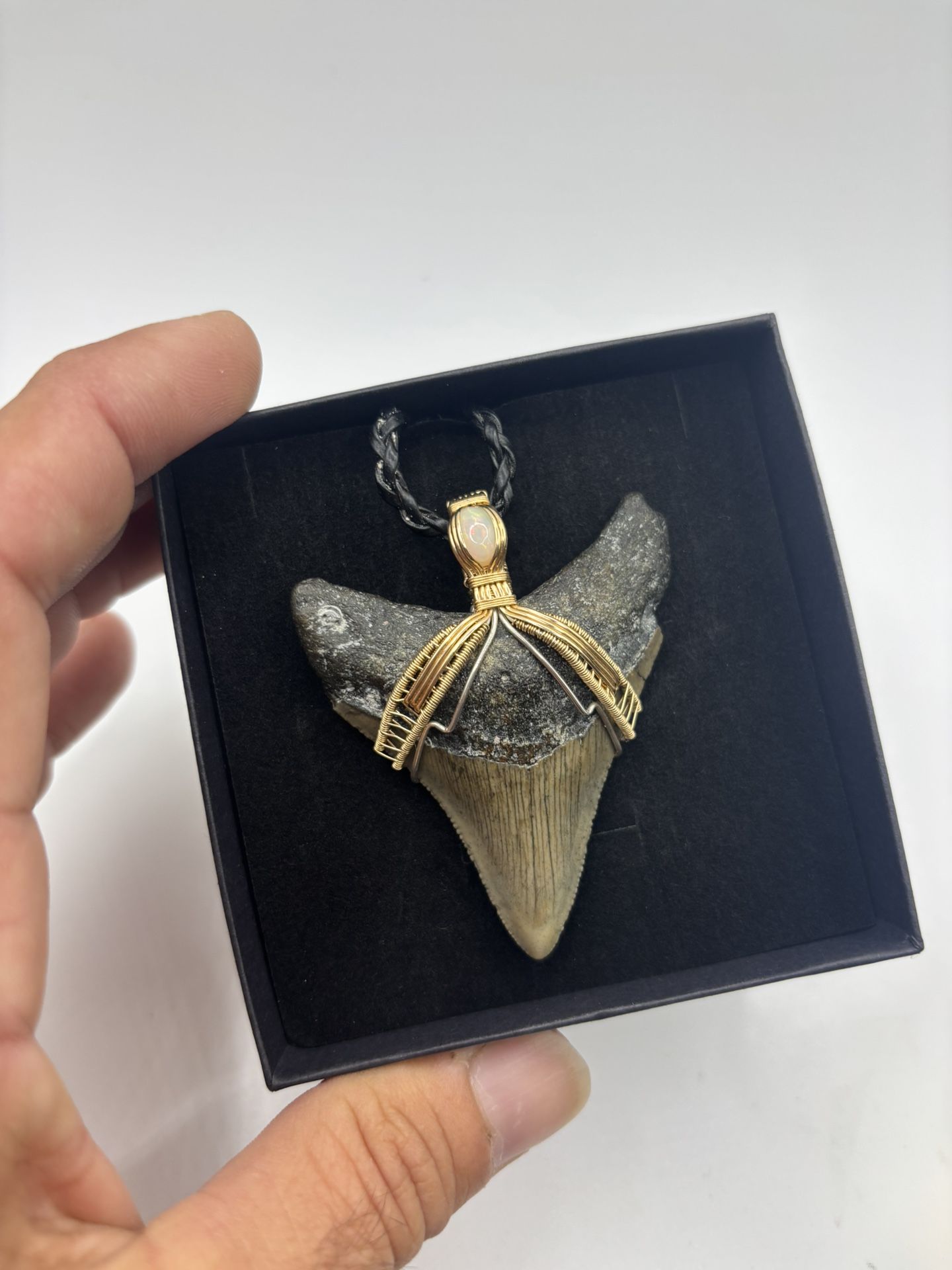Megalodon Shark Tooth Pendant. With Opal -14k Gold Filled 