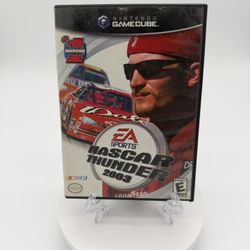 NASCAR Thunder 2003