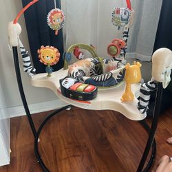 Fisher Price Bouncer 