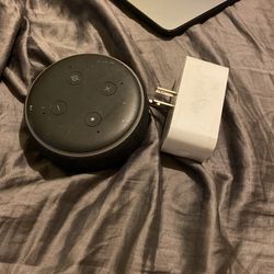 Echo Dot And Plug Transmitter