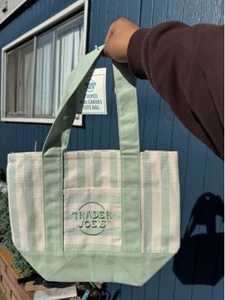 VIRAL Striped Mini Trader Joe Bags