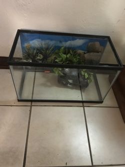 Fish tank