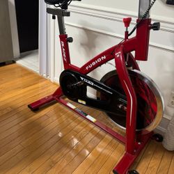 Blades Fitness Indoor Cycle Exercise Machine 