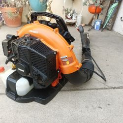 Echo Blower