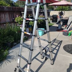 Telescopic Ladder 