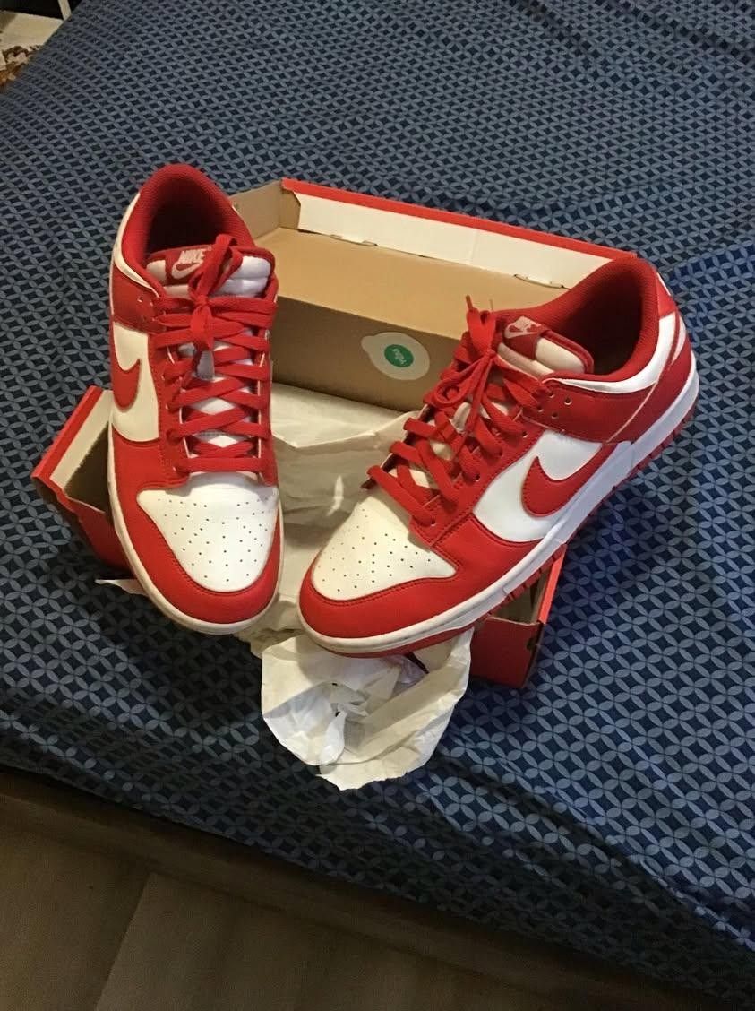 Nike Dunks Men's 